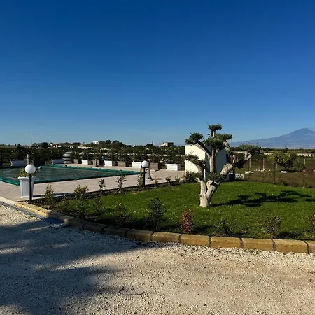 Aurelia * Brucoli